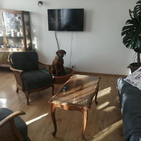 Husarska Swinemuende Bagian luar foto