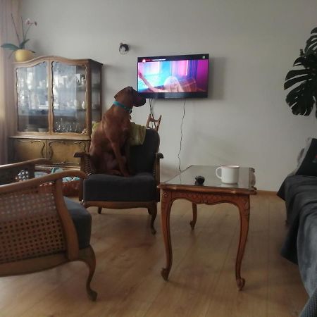 Husarska Swinemuende Bagian luar foto