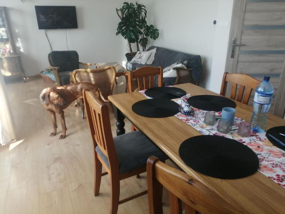 Husarska Swinemuende Bagian luar foto