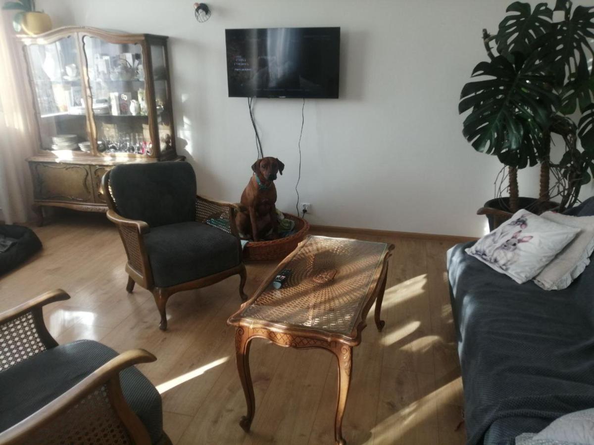 Husarska Swinemuende Bagian luar foto