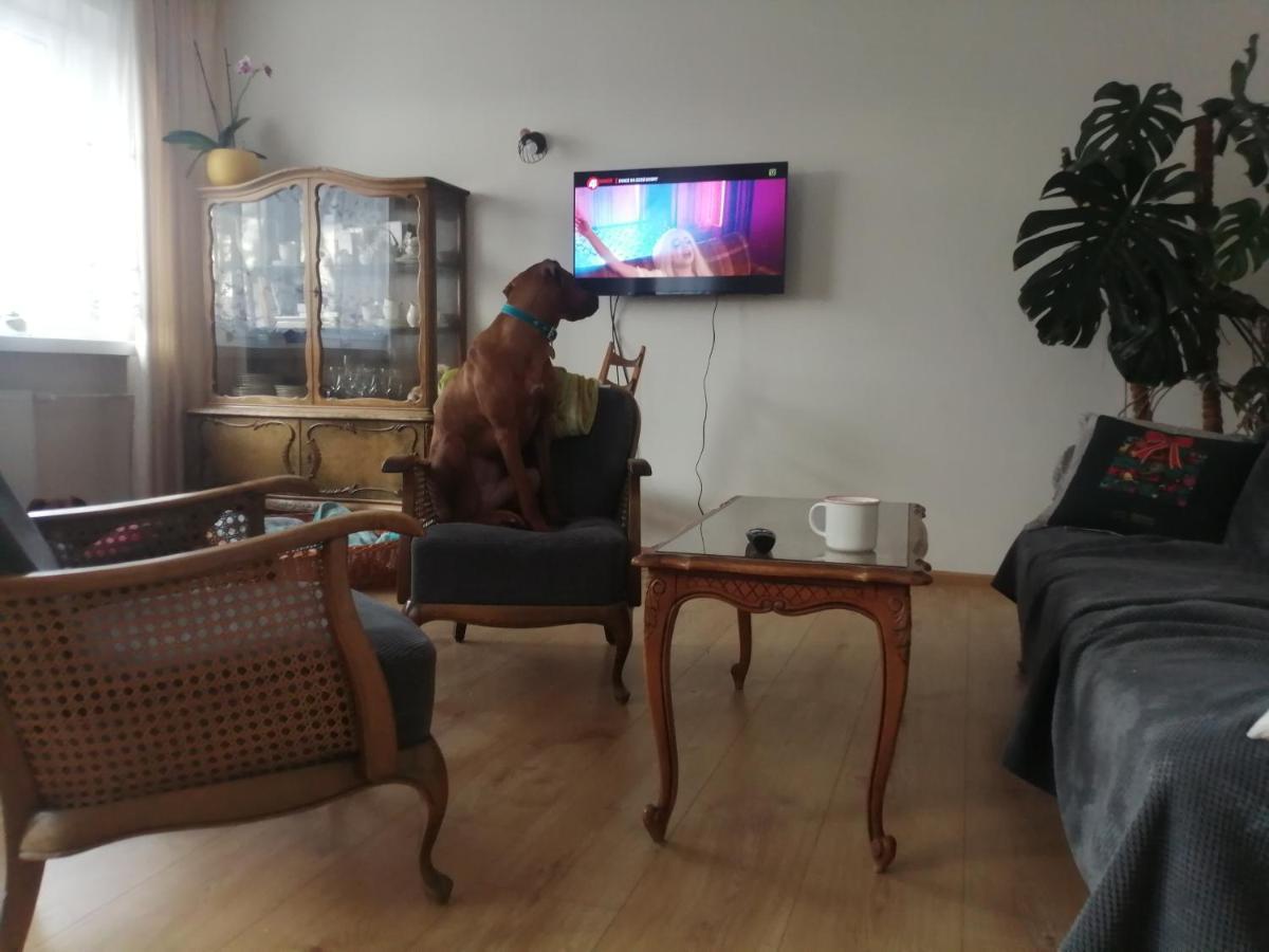 Husarska Swinemuende Bagian luar foto